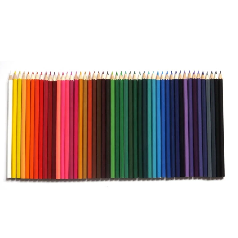 Professional 50 Pack Colour Pencil in PVC case