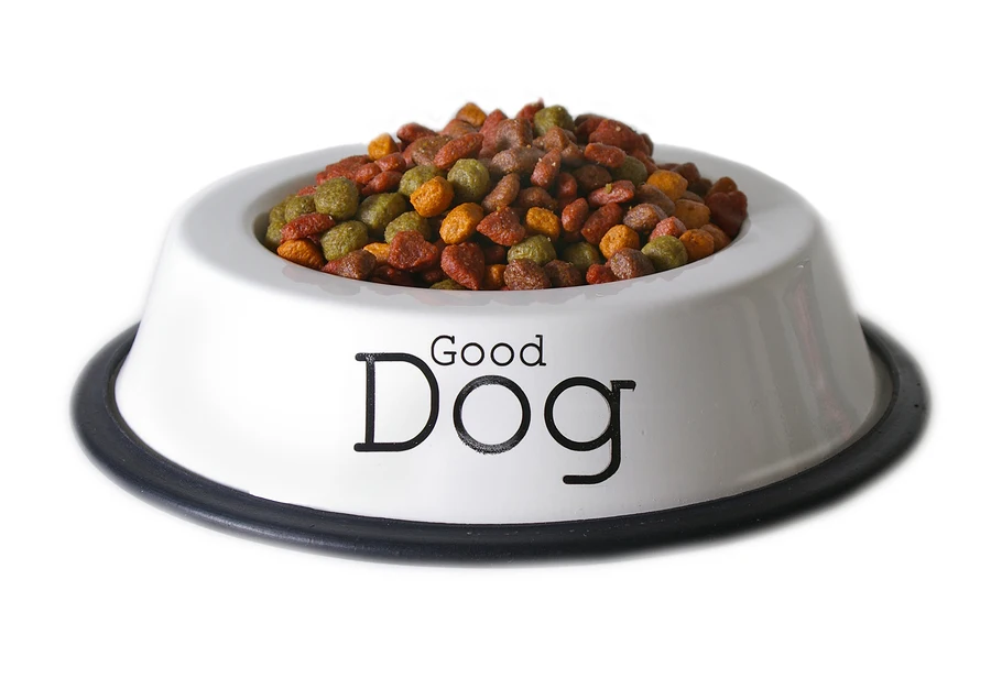 
Professional Dried Kibble Dog Food Machine made in China 