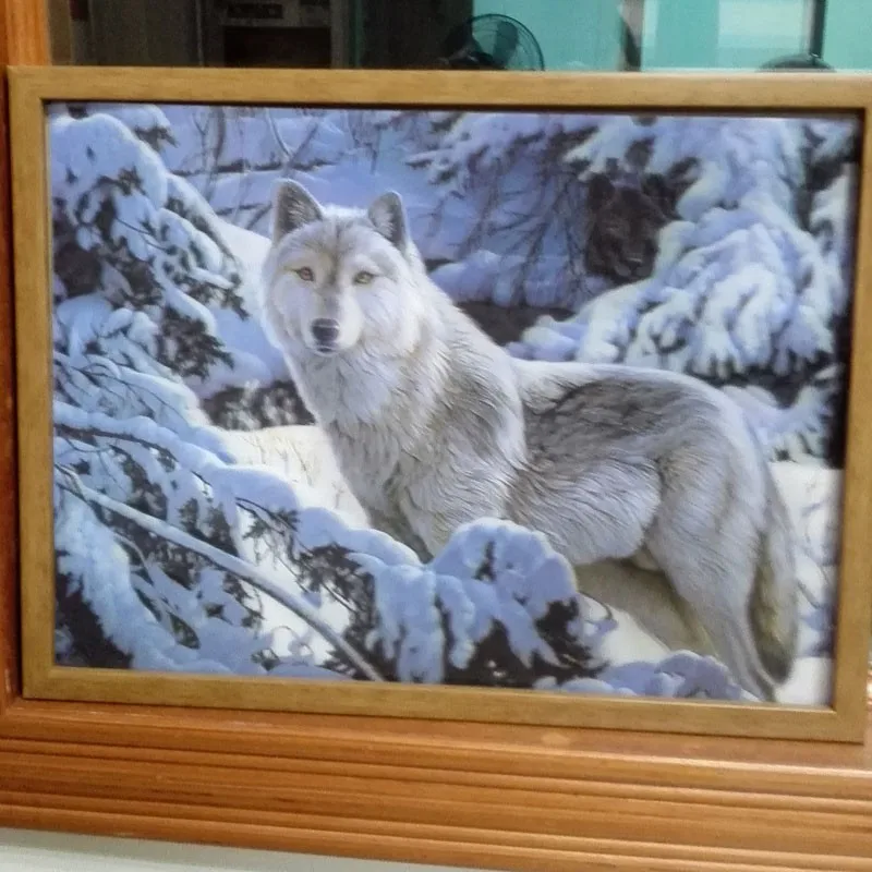 
lenticular wolf 3d picture 