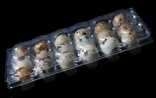 18 hole plastic quail egg tray for packing quail eggs