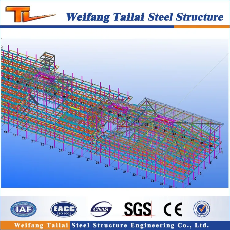 Guyana steel structure big shopping prefab house