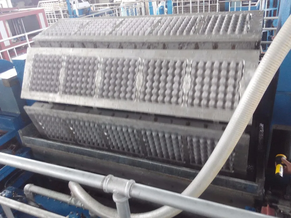 Egg Tray Machine for Farms Paper Food Shop Egg Tray Machinery Manufacturing Plant