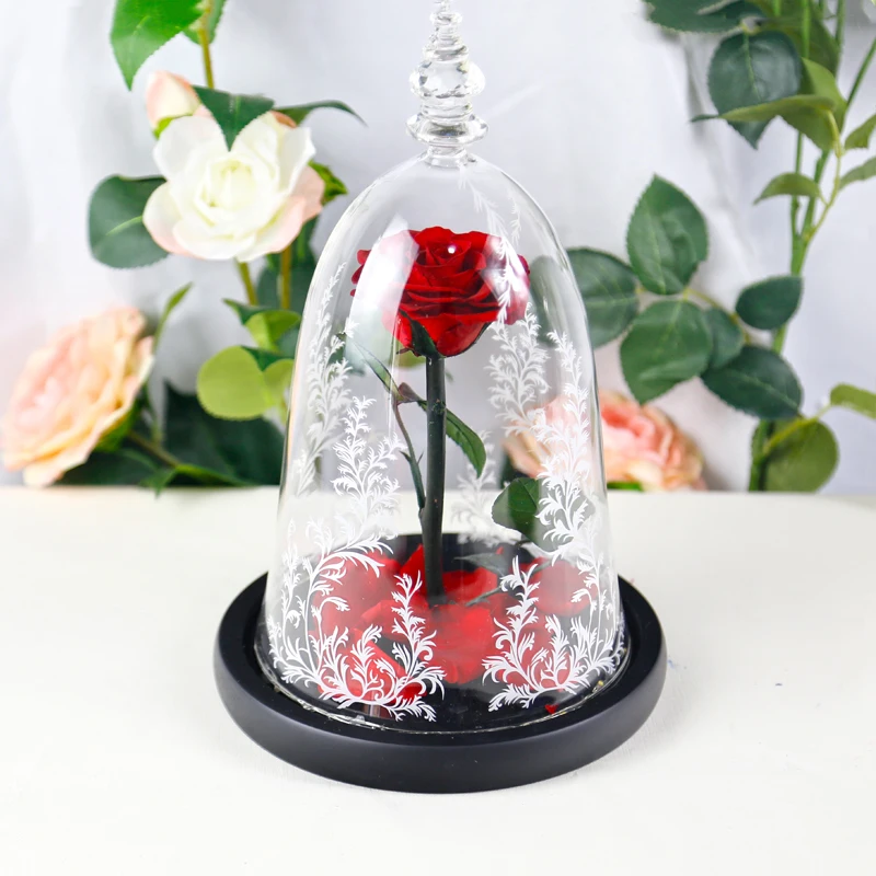 
2018 new style best gift with led light beauty and the beast preserved flower eternal rose in glass dome 
