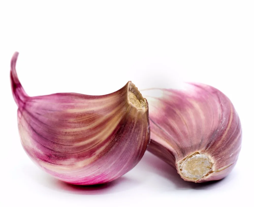 fresh garlic