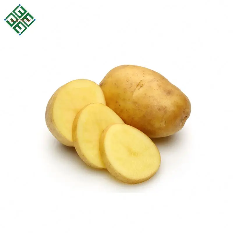 100% Exportable New Harvest Potato / Potatoes Supplier with cheap Price