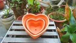 2016 New Design Heart Shape Terracotta Planters Pots Wholesale Modern Small Flower Planter,classic for Home, Garden Ceramic
