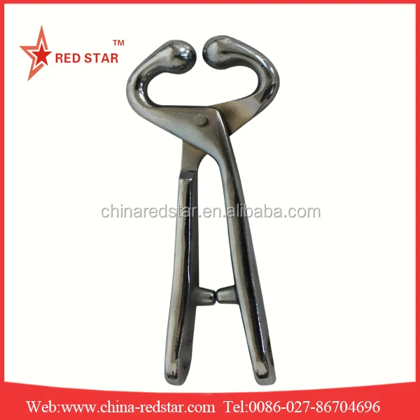 Hight Quantity Veterinary Instrument Cattle Bull Nose Leader
