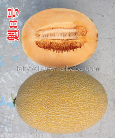 Гибридные семена канталупа, семена мускусной дыни, семена Хами дыни для выращивания-Kui No.8