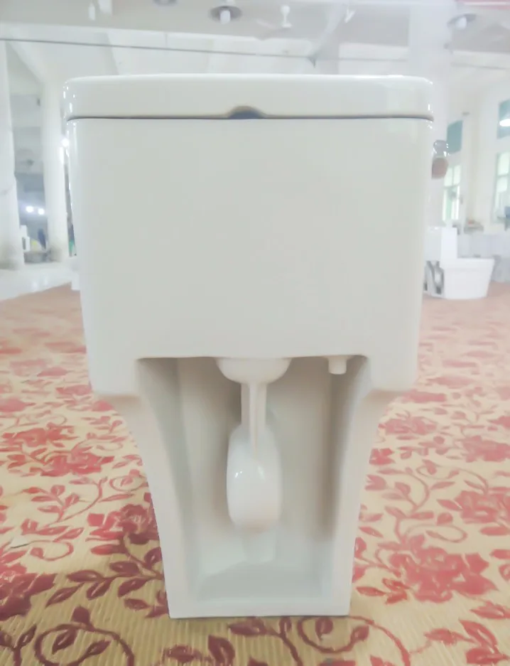
Best Selling Concealed Tank Morden Floor Stand CUPC One Piece Toilet 