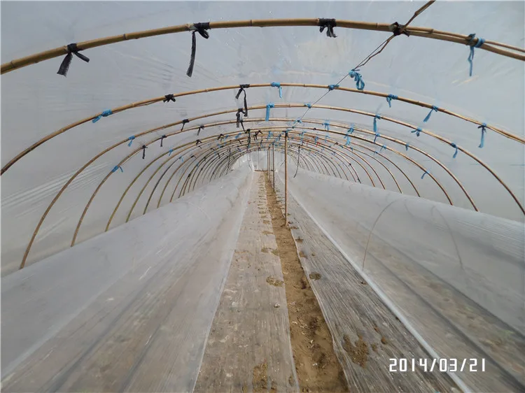 Сельское хозяйство полиэтиленовой пленки высокого качества ЕВА тепличной пленки