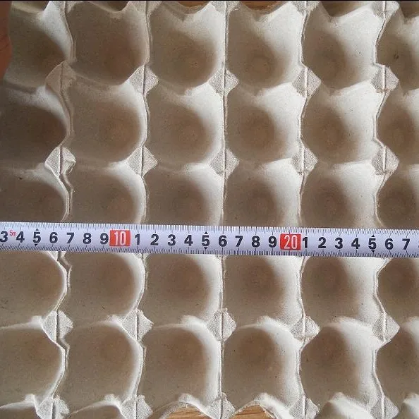 Egg Tray Pulp Packaging