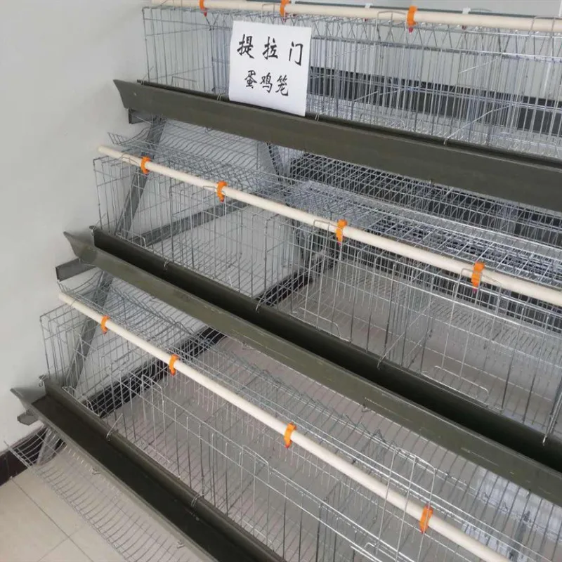 
chicken layer cage for poultry farming  (60831352714)