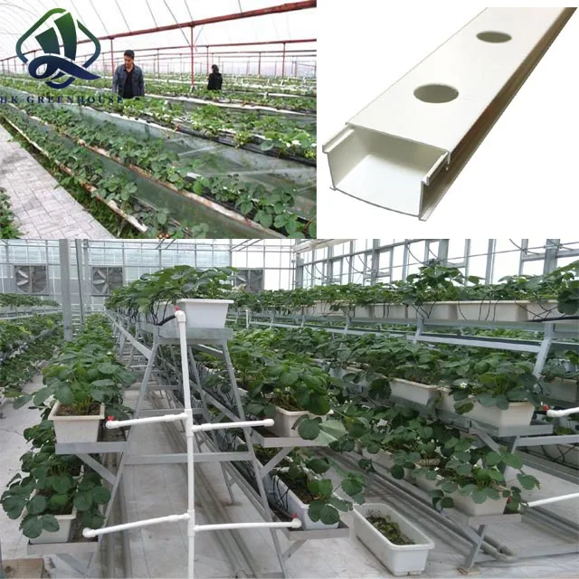 Complete Hydroponic System for growing vegetable in greenhouse