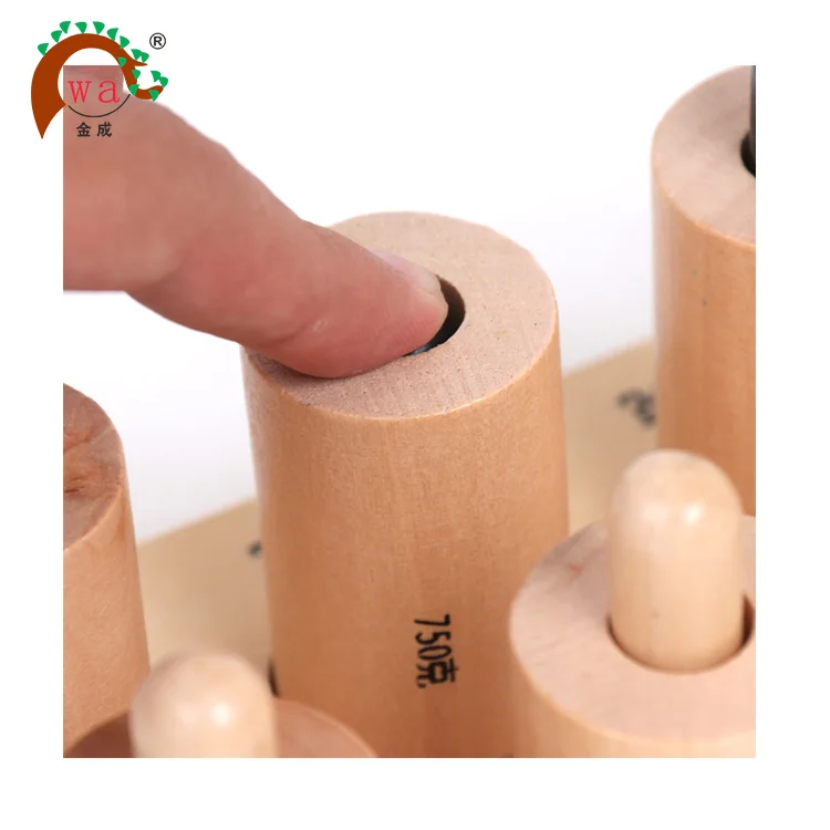 Montessori Educational Wooden Weight Cylinders For Preschool Child with knob
