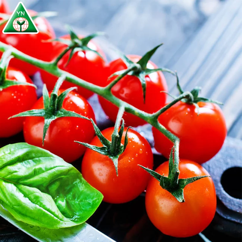 Семена томатов MEIDUO NO.1 F1 с большими красными фруктами