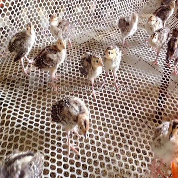 Poultry Fence Net Chicken Net Low Price UV Resistance HDPE Plastic Farm Fence Fencing, Trellis & Gates Plastic Mesh Yaqi Plastic