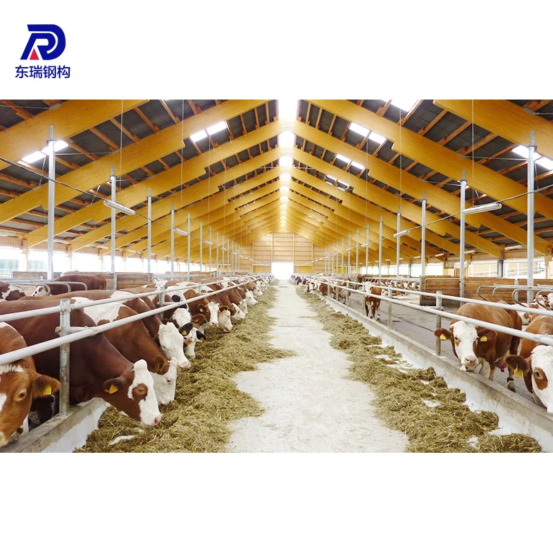 Light Frame Steel Structure Poultry Farm Shed Design Prefab Poultry House