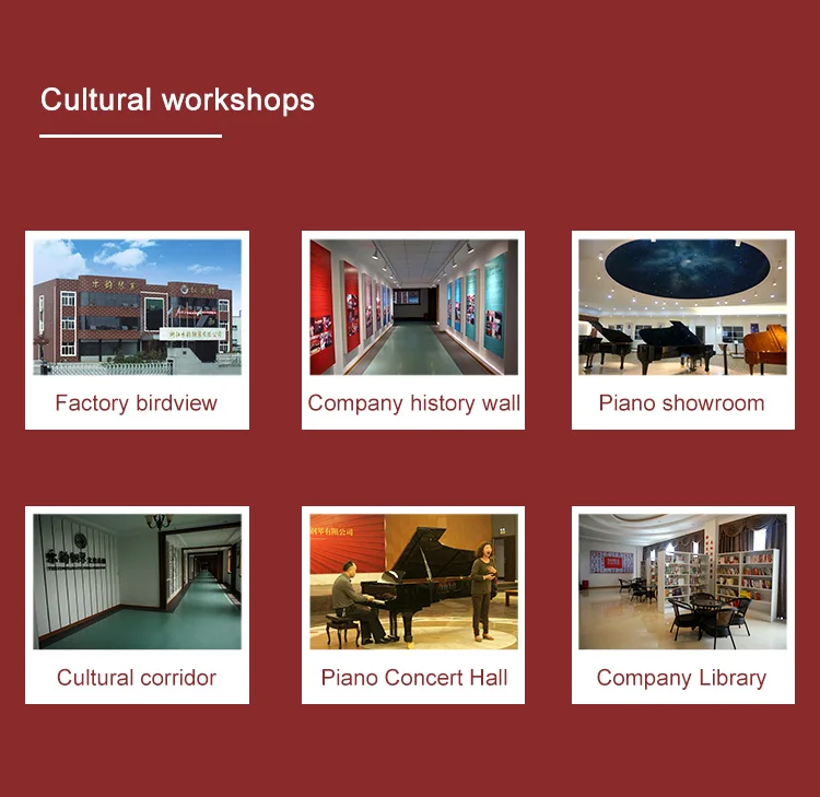 guitar or tool Aluminum Flight Case (PF-1GT)