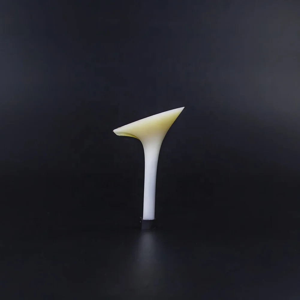 
High Quality Abs Shoe Heel Ladies 