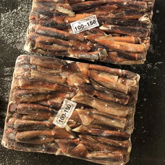 2019 best quality and freshest seafood  frozen illex argentina squid