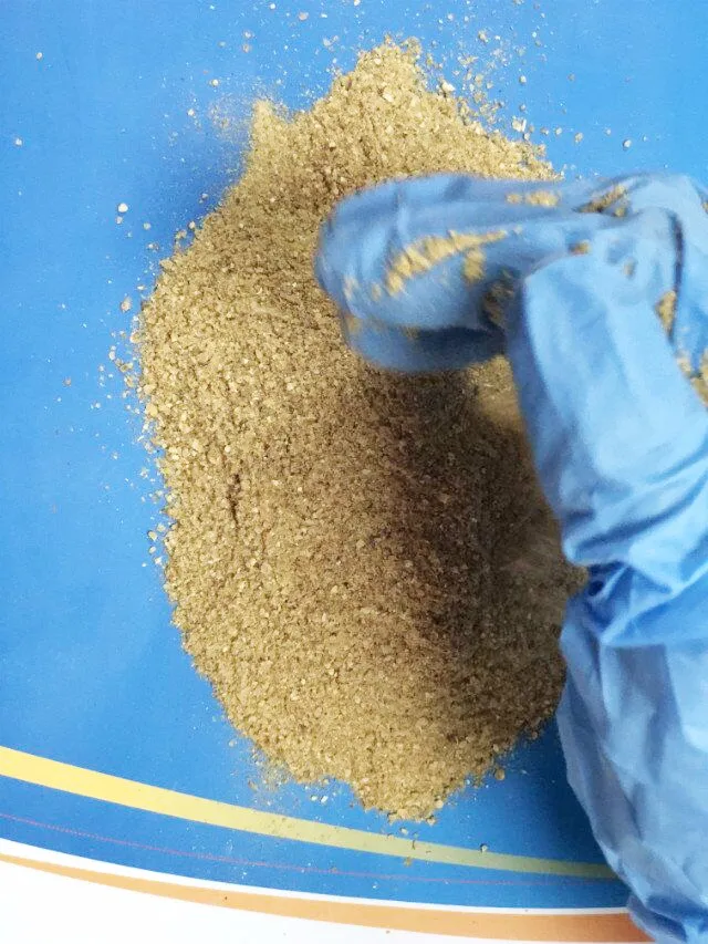 Cattle Feed Additives Corn Gluten Feed  midi Bulk Sale Price
