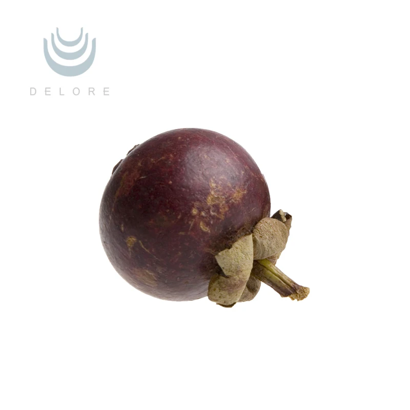 Thailand antioxidant mangosteen extract powder for cosmetic
