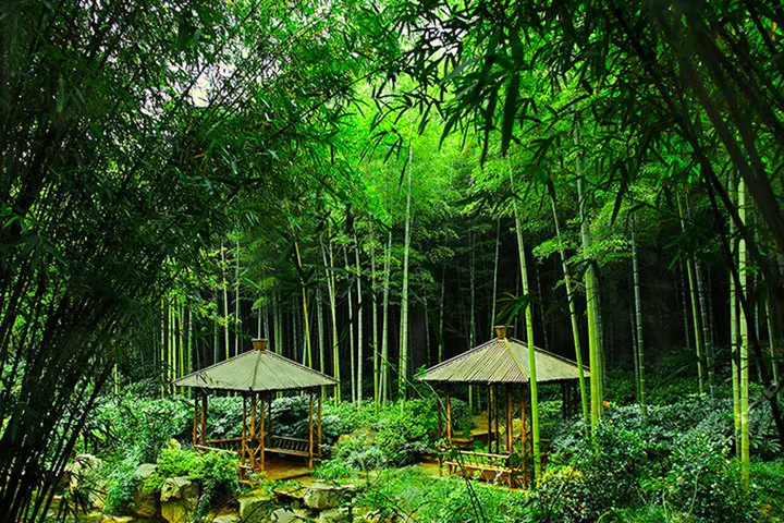 Large diameter bamboo raft wholesale