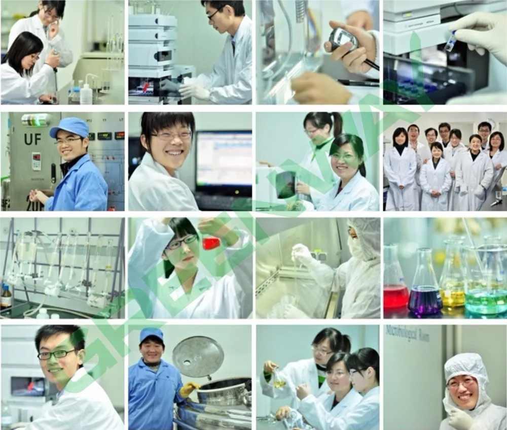 
Pure 99% Hyaluronic Acid Powder, cross linked hyaluronic acid, pure hyaluronic acid 