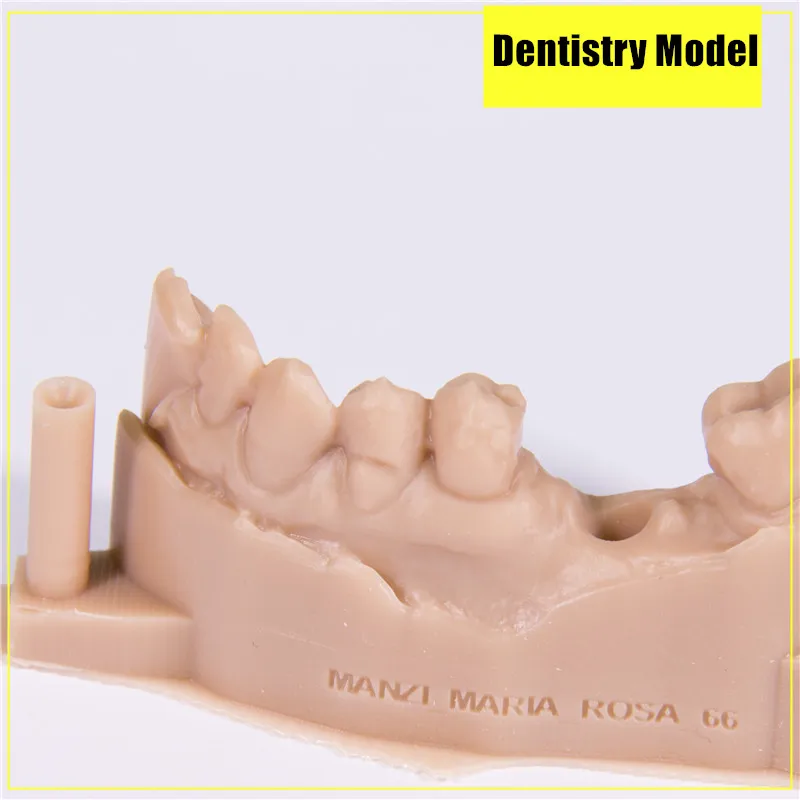 Flashforge Hunter DLP 3D printer Dental Printer