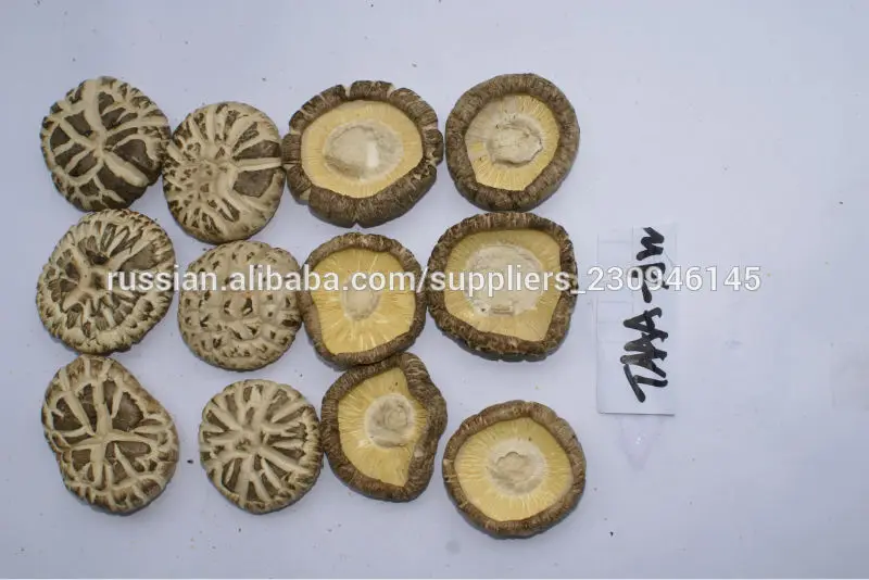 Китайские грибы шиитаке