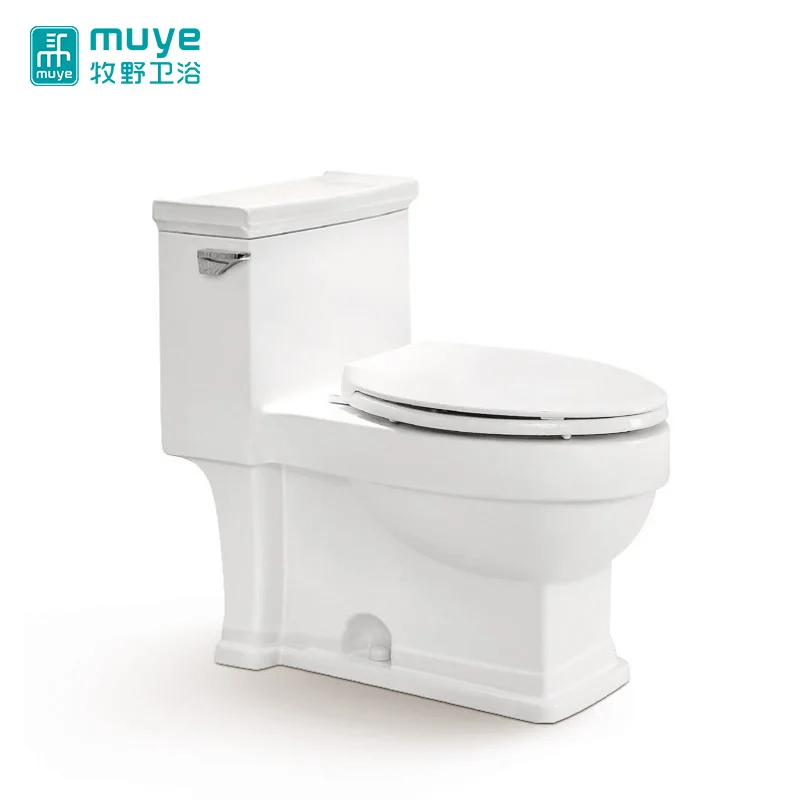 Personality Side Push Button Design Floor Install Siphonic Sanitary Ware One Piece Toilet
