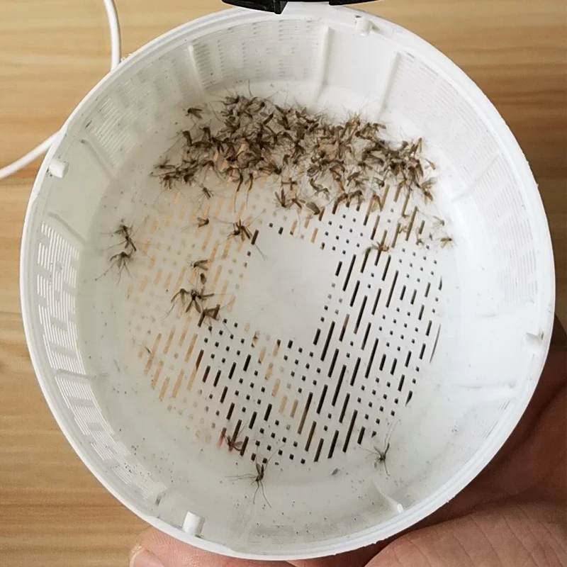 HRS new 110-240V household products plastic uv led household electric mosquito killer lamp led light bulb bug zapper with USB