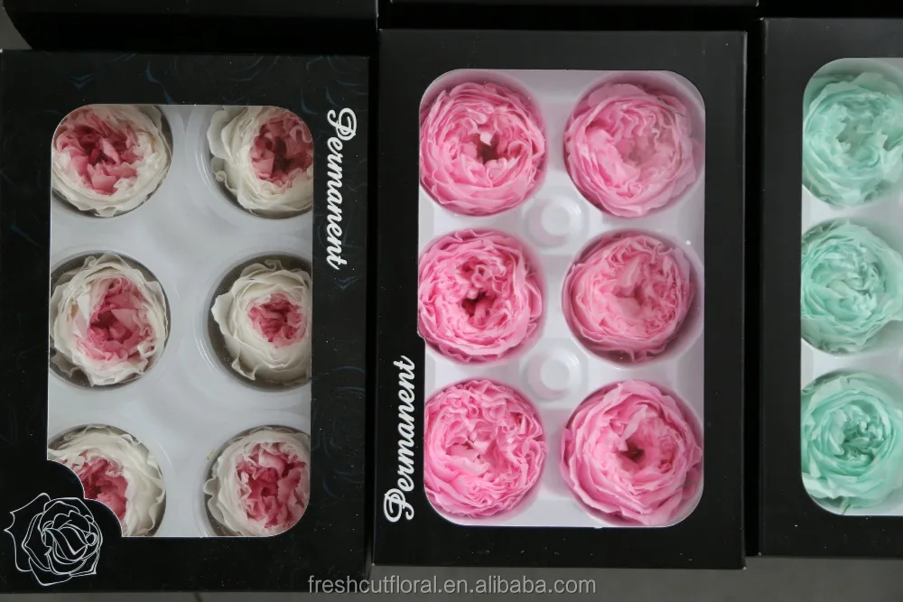 Promotion preserved austin roses stabilized austin rose at discount