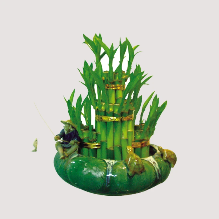 
lucky bamboo tower 3 layer dracaena sanderiana plants 