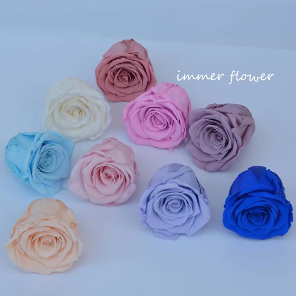 Wholesale fresh preserved rose freeze dried rose heads