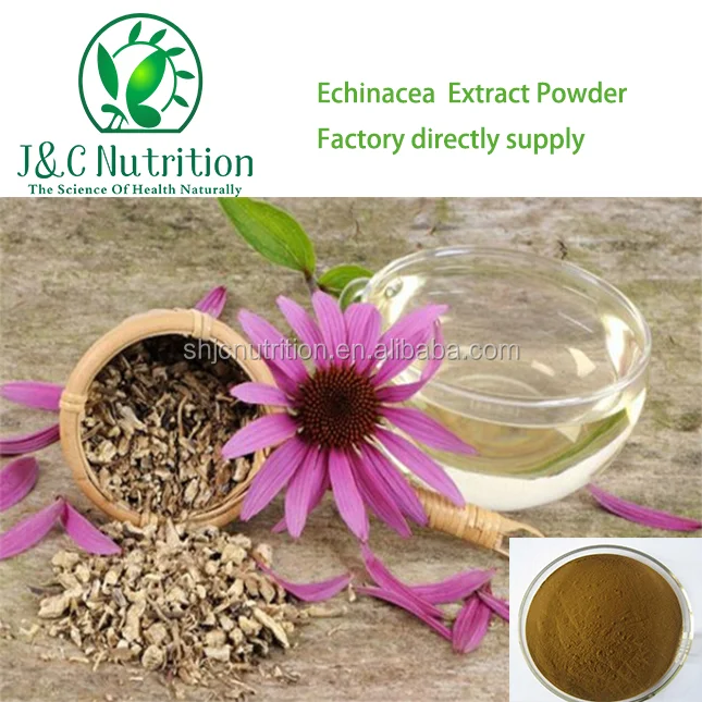 Free sample of echinacea purpurea root extract, echinacea herb extract, 1%-4% polyphenol ,2% cichoric acid
