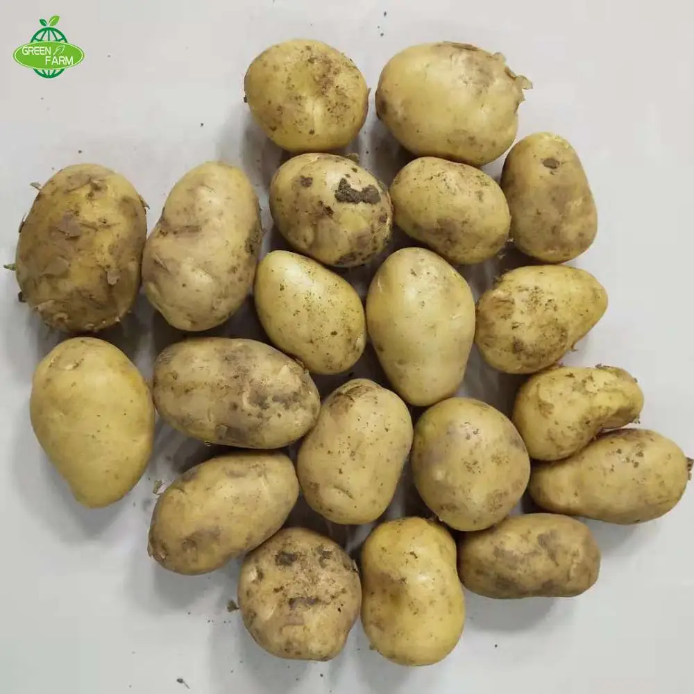 Fresh potato seed,potato seeds for sale