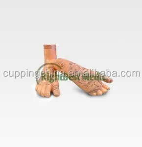 17CM English Medical Acupuncture Model Foot for traditional Chinese therapy medical science Reflexology Zone Model Right &Left