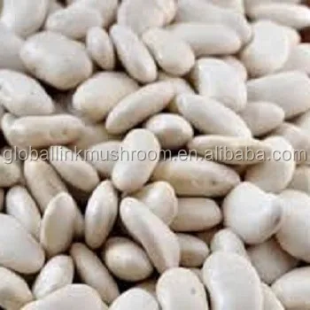 Высокое качество египетского белая фасоль