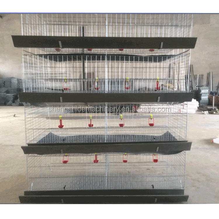 SSD Cheaper and high quality baby chicks chicken cage