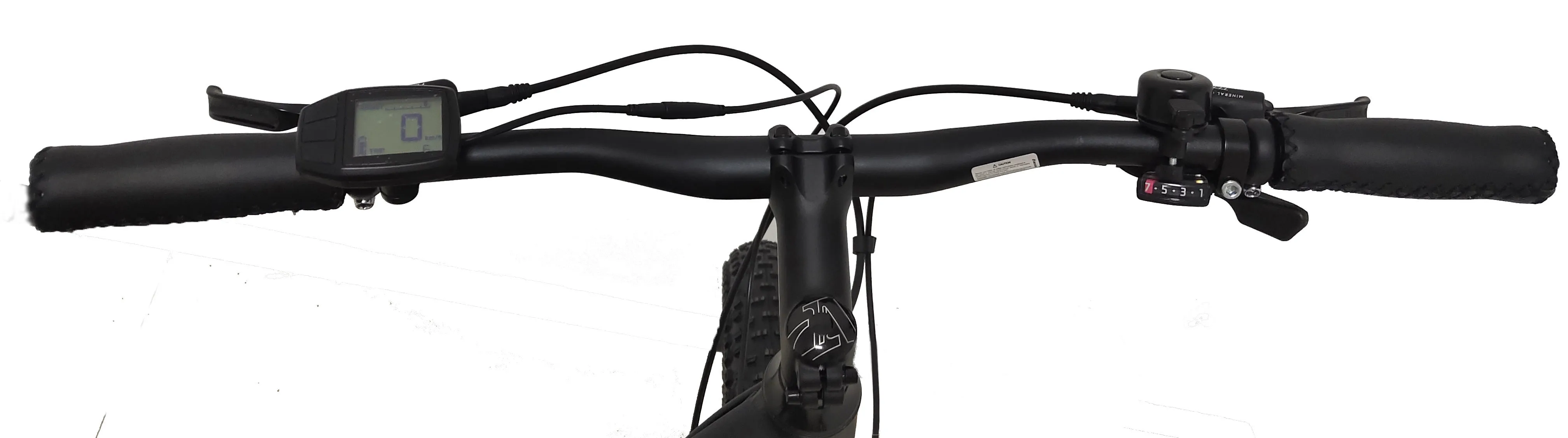 PETRIGO Factory Directly New Designs Battery Fat Tire Sport Downhill Mountain Electric Bike Electric Bike
