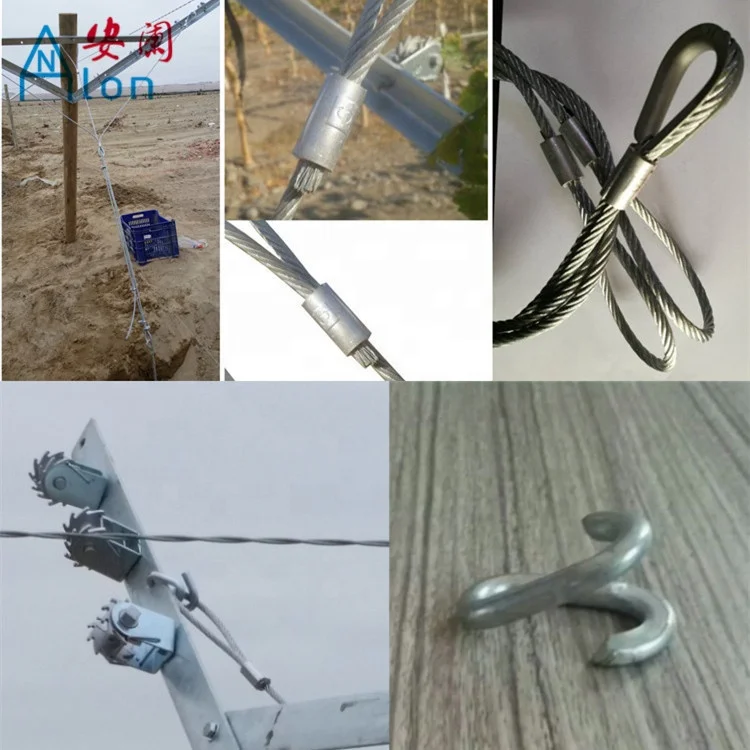 Открытая решетчатая система виноградной лозы