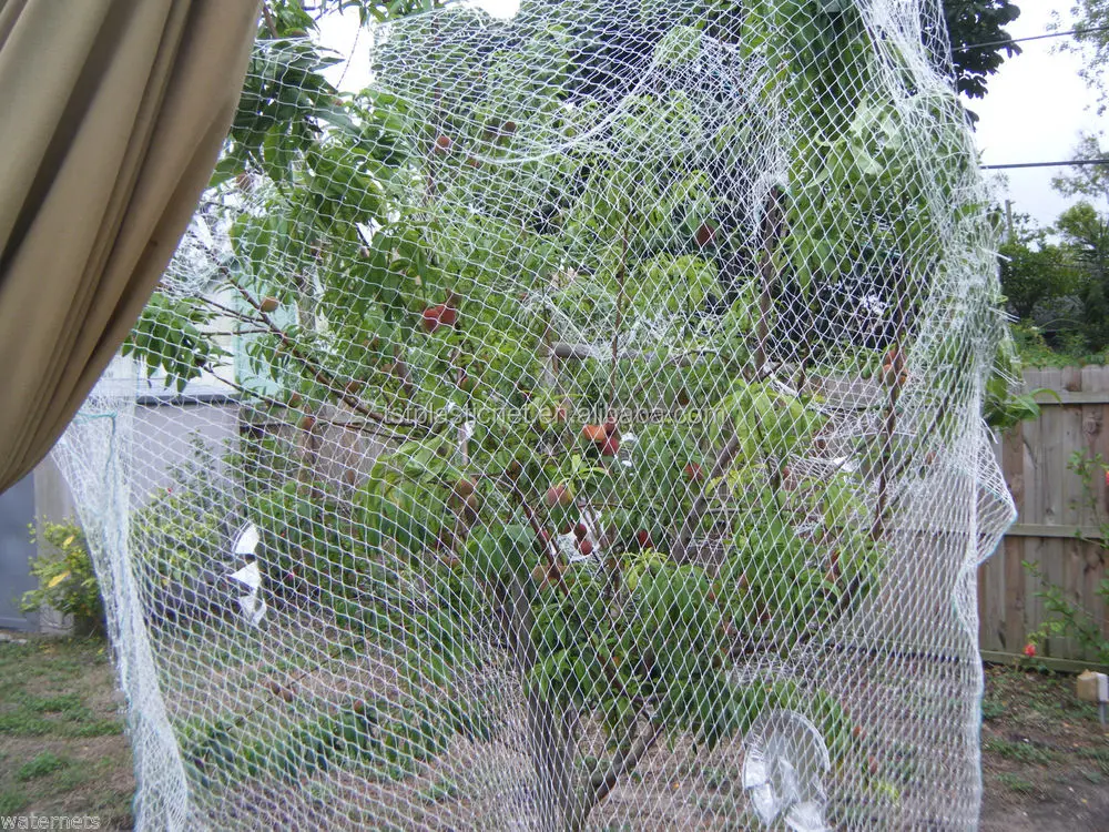 Cheap Price Agriculture Anti Bird Net and Bird Protection Net for Vineyard 100% New HDPE Wrap Knitted,extruded 7-10g/m2 Diamond