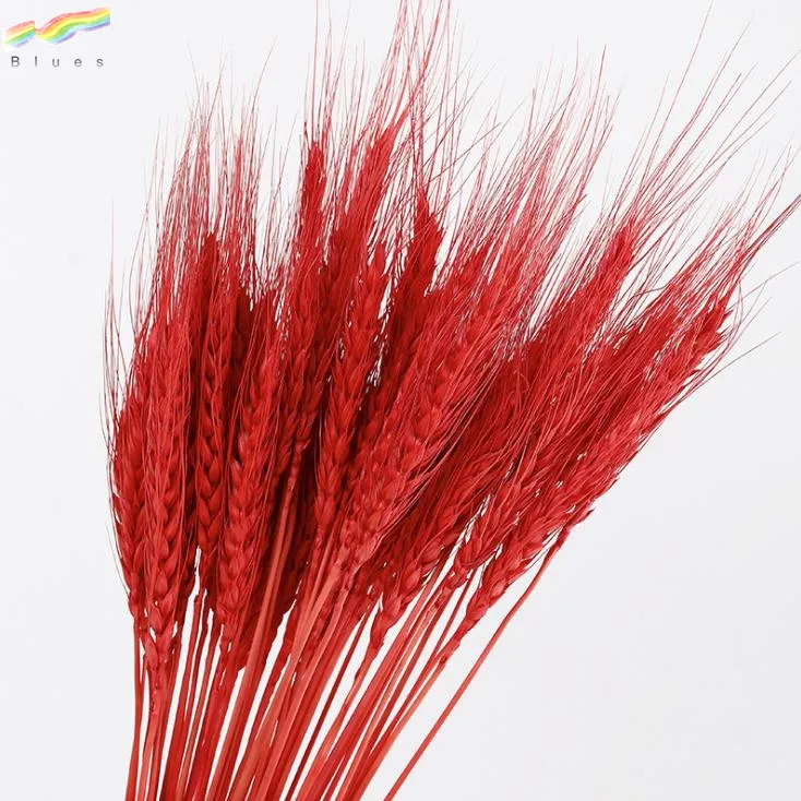 Dried Wheat Stalks Wheat Grass Bouquet Bundle Flower for DIY Home Table Wedding
