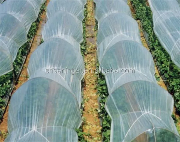 PE Co-extruded Low Tunnel Film For Agriculture