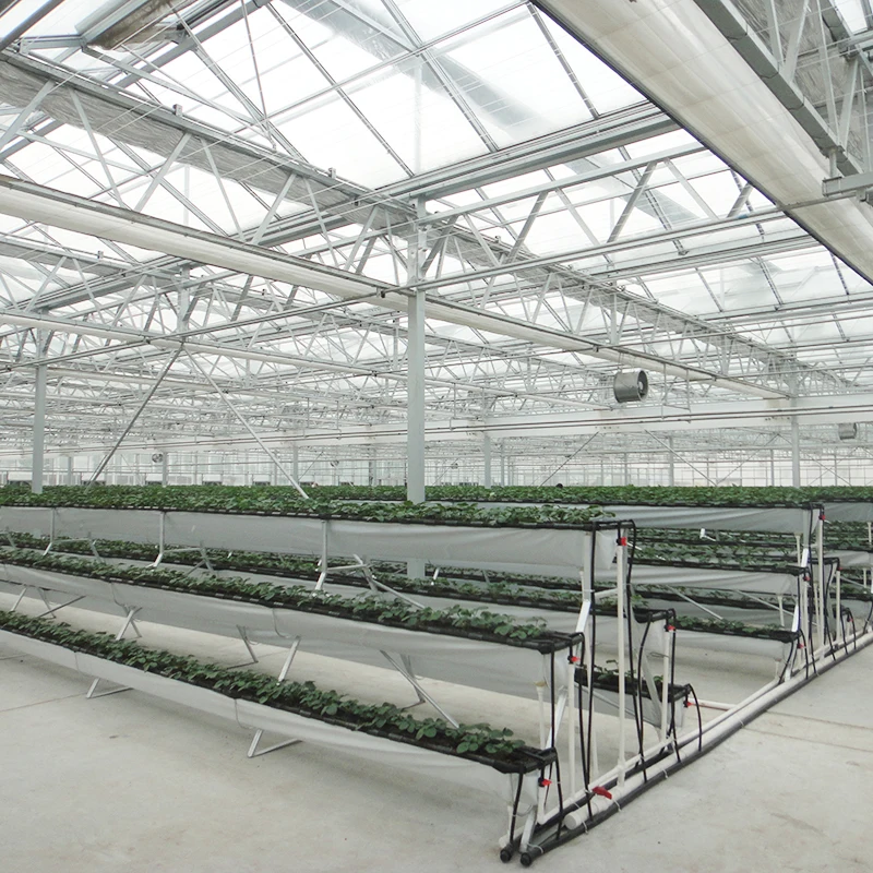 
Multi-span double-layer hollow glass cover strawberry greenhouse for sale 