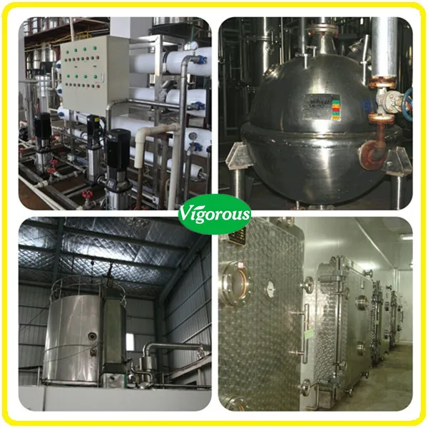 Free Sample instant black tea extract powder