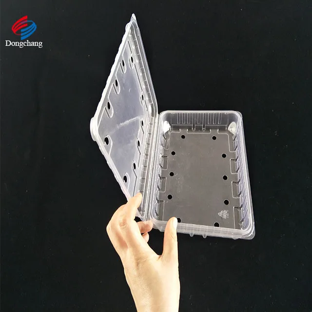 
Plastic PP Frozen Food Tray For Vegetable 