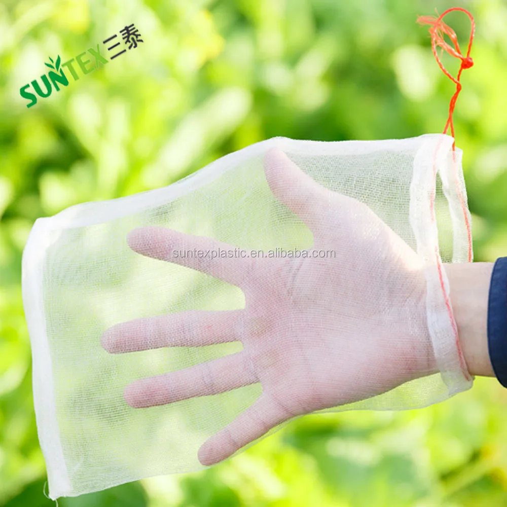 Thailand Garden Plant Fruit Protect Drawstring Net Bag Against Insect Pest Bird