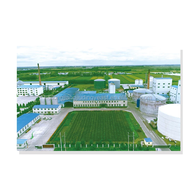 
500g high sugar baking yeast manufacturer in China 